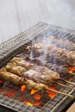 Oldenhof Konro Grill Diatomite Japanse Barbecue B-9 31 X 23 X 20 Cm -Nieuw Keukengerei Winkel shutterstock 556753543 2