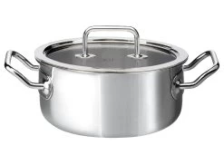 Spring Brigade Braadpan Met Glasdeksel ø 20 Cm Rvs