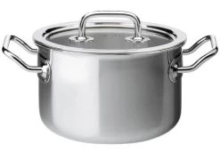 Spring Brigade Kookpan Met Glasdeksel ø 16 Cm Rvs