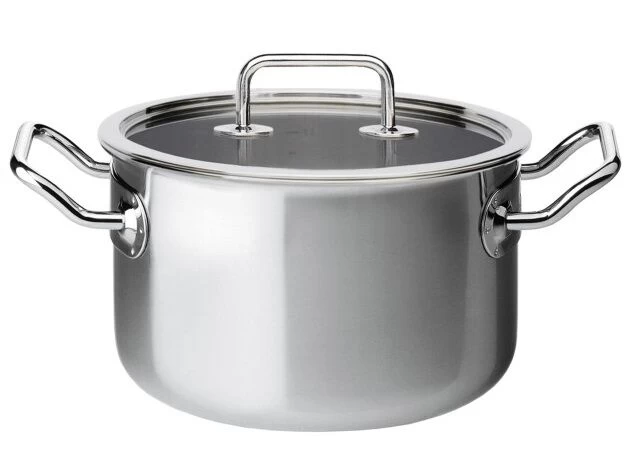 Spring Brigade Kookpan Met Glasdeksel ø 20 Cm Rvs 1 Spring Brigade Kookpan Met Glasdeksel ø 20 Cm Rvs