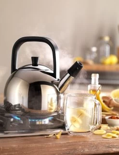 Zwilling Plus Fluitketel Rond 1,6 Liter Rvs -Nieuw Keukengerei Winkel zwilling plus fluitketel rond 1 5 liter rvs